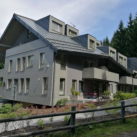 Apartment Draco Harrachov Luaran gambar