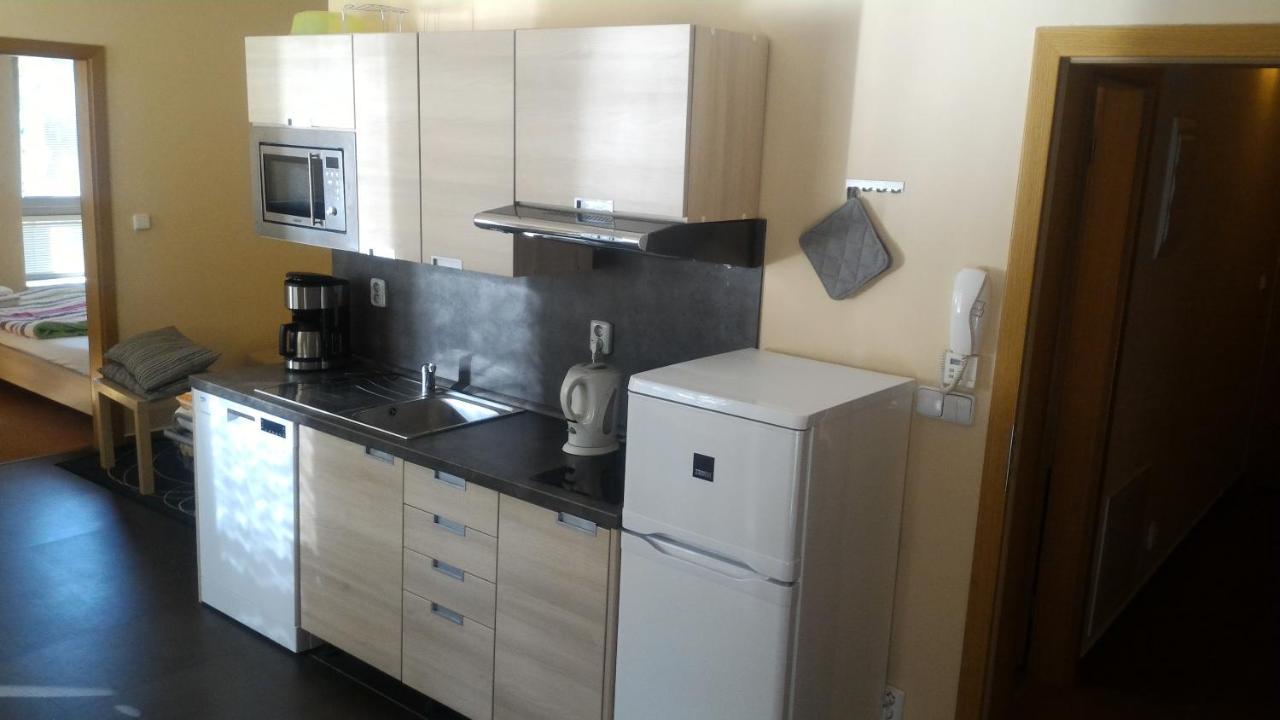 Apartment Draco Harrachov Luaran gambar